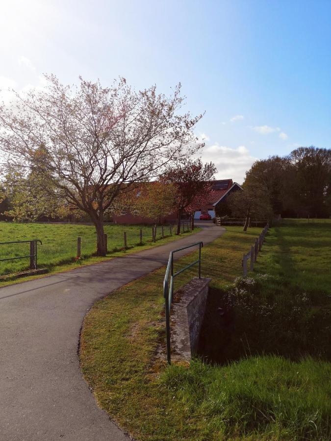 Am Waldrand Schuettorf Exterior foto